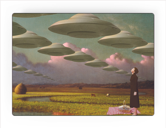 ‘Plan B’ by Andy Zig | Art Panel