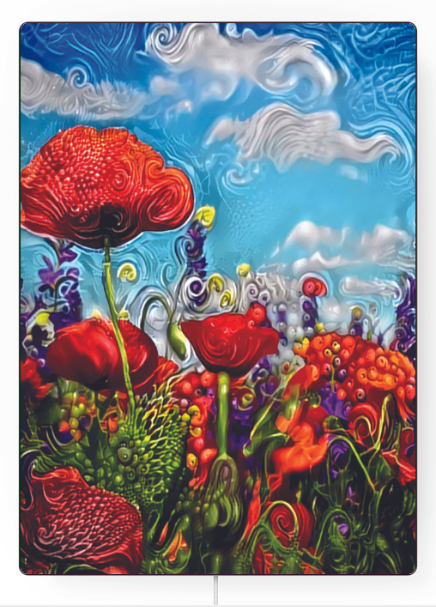 'Poppys’ by Andy Zig | Art Panel